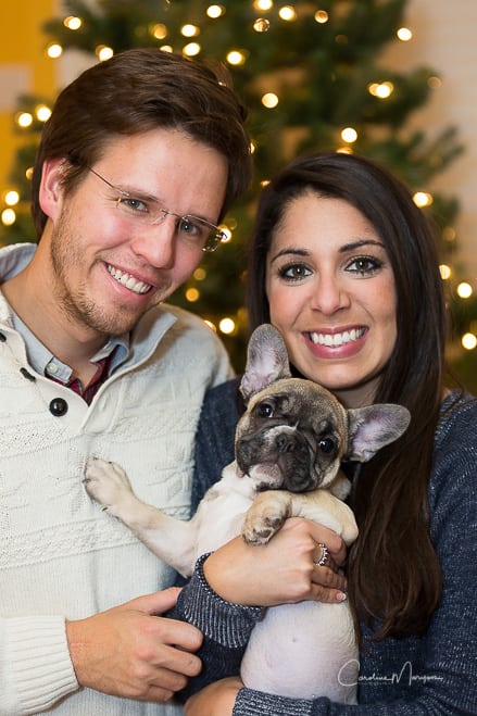 Napoleon, the French Bulldog, poses with his family at Christmas time. 