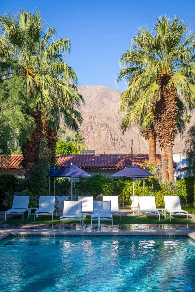 You can glimpse the San Jacinto Mountains between the palms by the pool at Alcazar Hotel in Palm Springs.