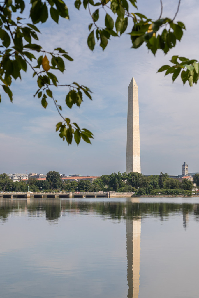 making travel photos unique by framing the Washington Monument and it's reflection in the Tidal Basin with branches
