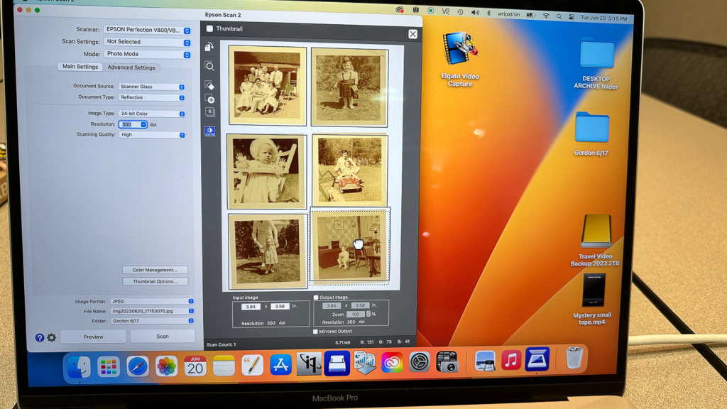 You'll see a screen like this from Epson Scan 2 when you digitize your photos and videos.