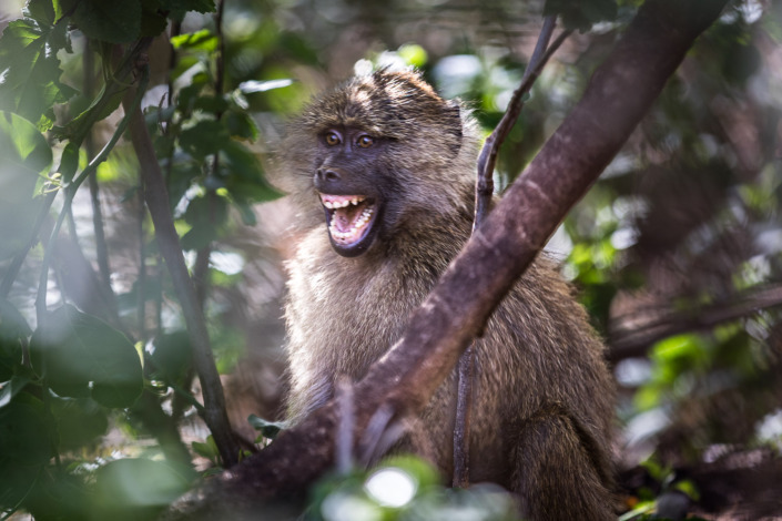 Creative Storytelling with Your Camera - Caroline Maryan Photography