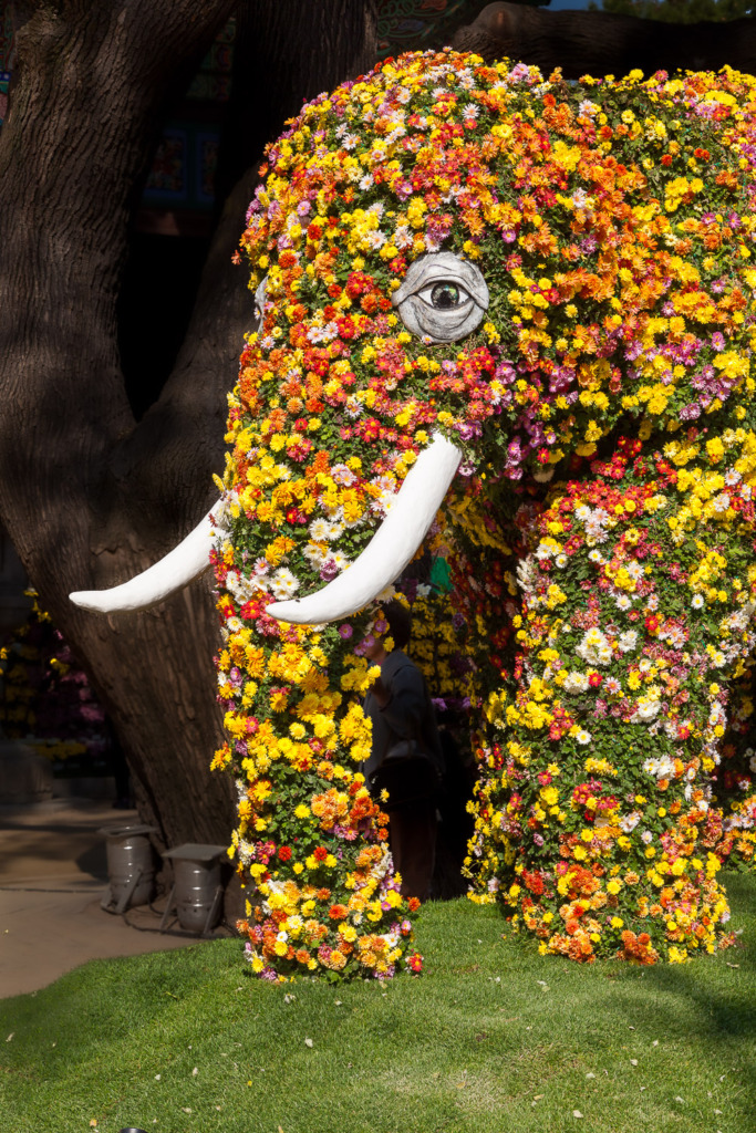 An Elephant Made of Mums at Jogyesa Temple in Seoul