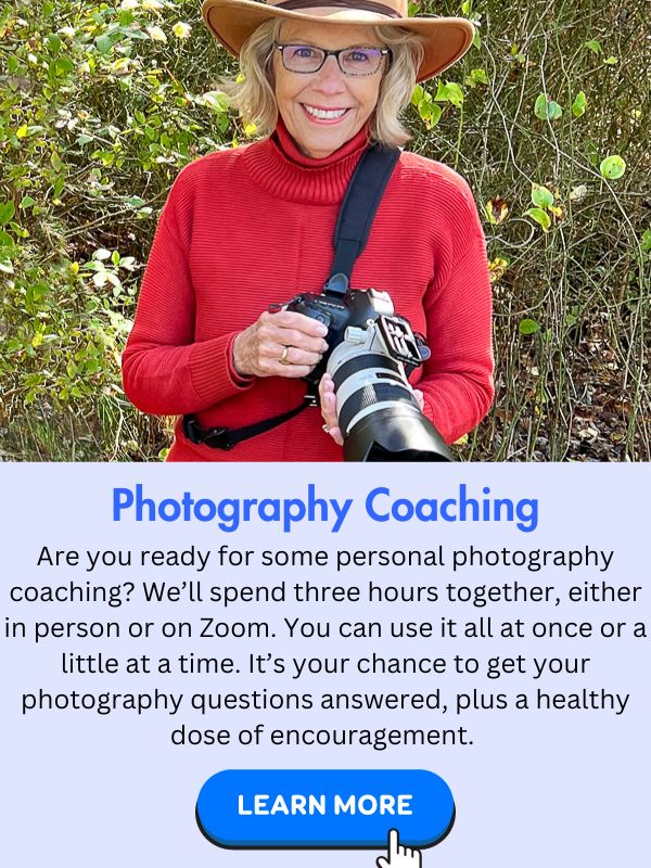 Photo of Caroline Maryan holding her Canon camera and smiling. Underneath is information on her Photography Coaching program and a Learn More button.