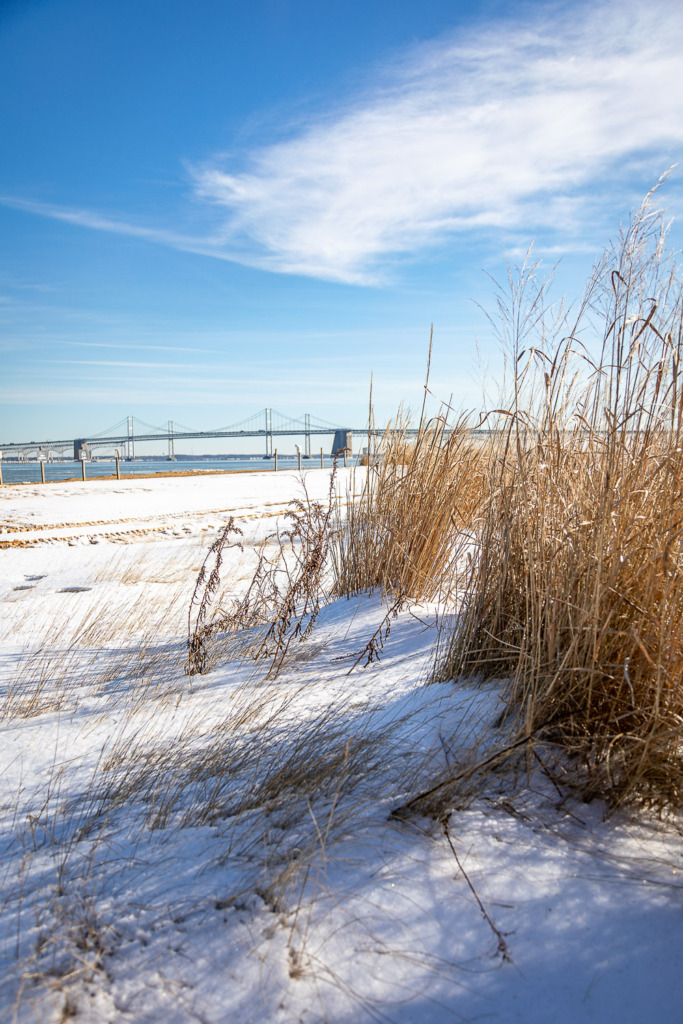 How to fix dark snow photos of Sandy Point State Park in the snow with Chesapeake Bay Bridge in Distance