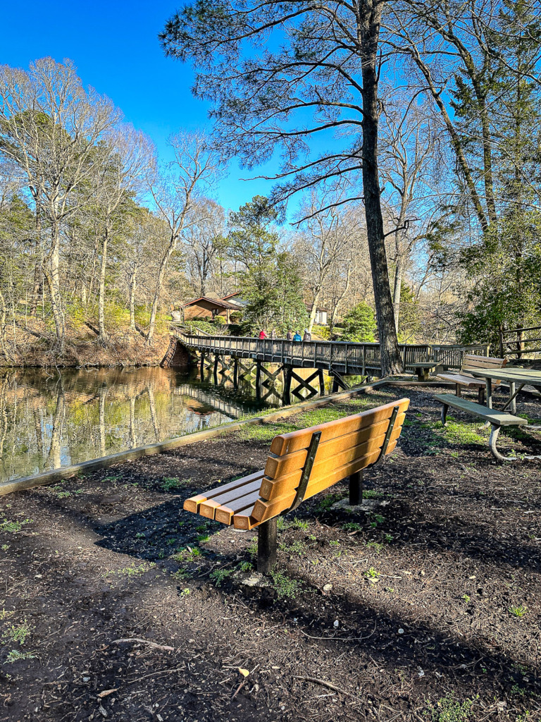 when spring comes you need to know how to change your camera time