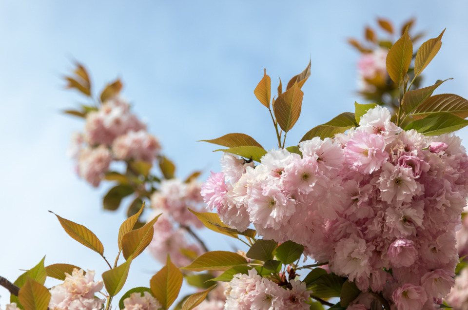 How to Change Your Camera Time for Spring